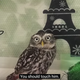 Touch the owl